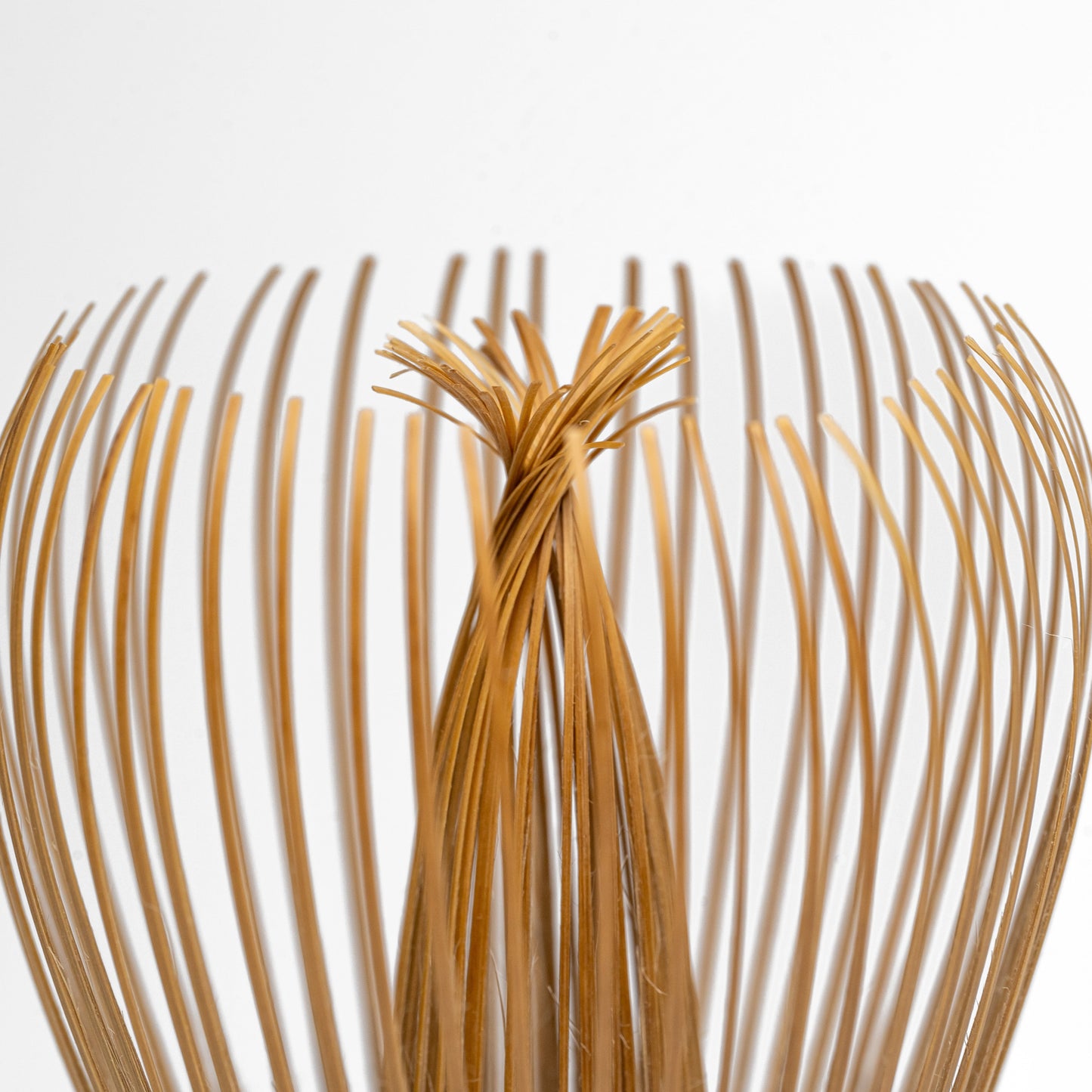 Close up of the top of a black bamboo Takayama Chasen matcha whisk on a white background