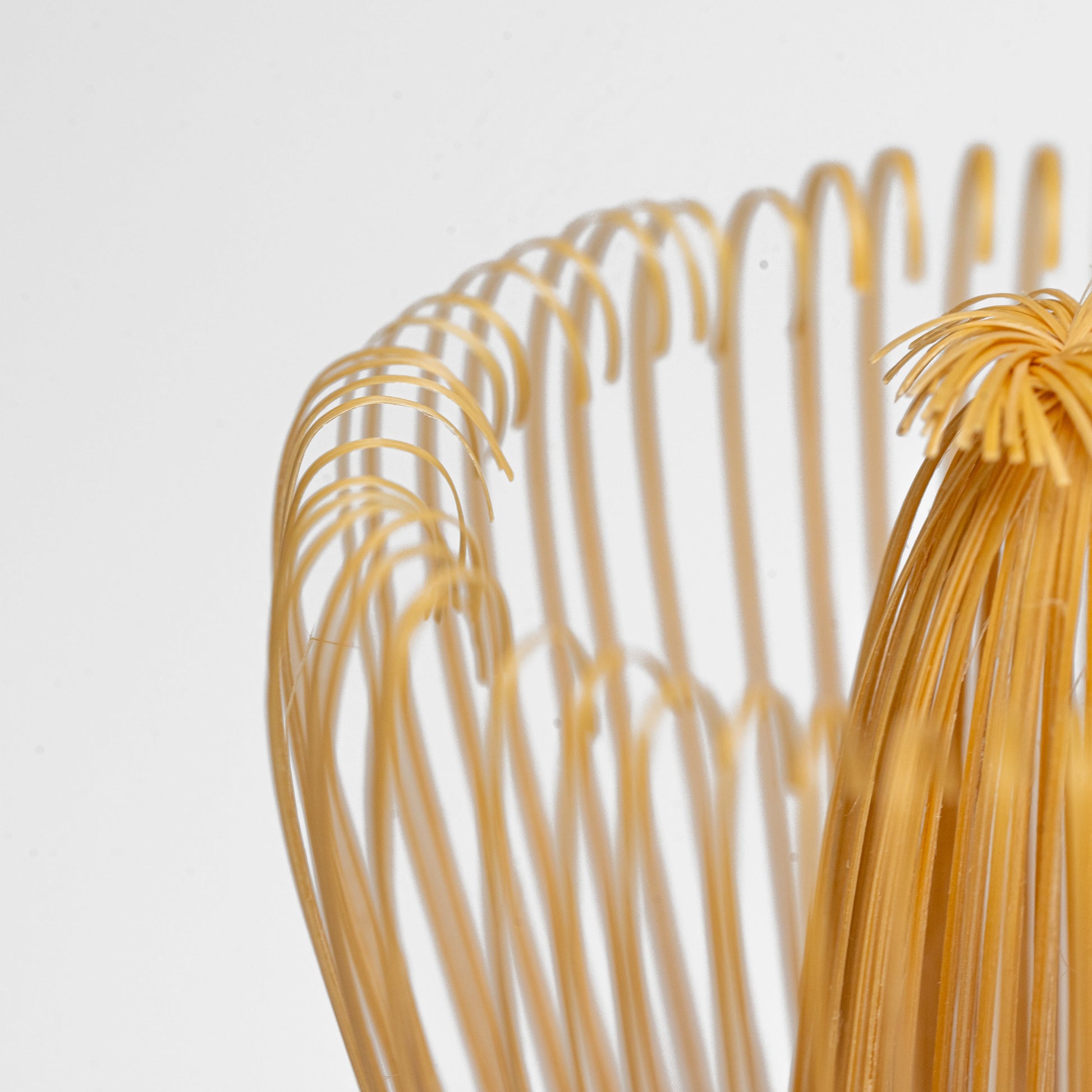 Close up of the top of a white bamboo Takayama Chasen matcha whisk on a white background