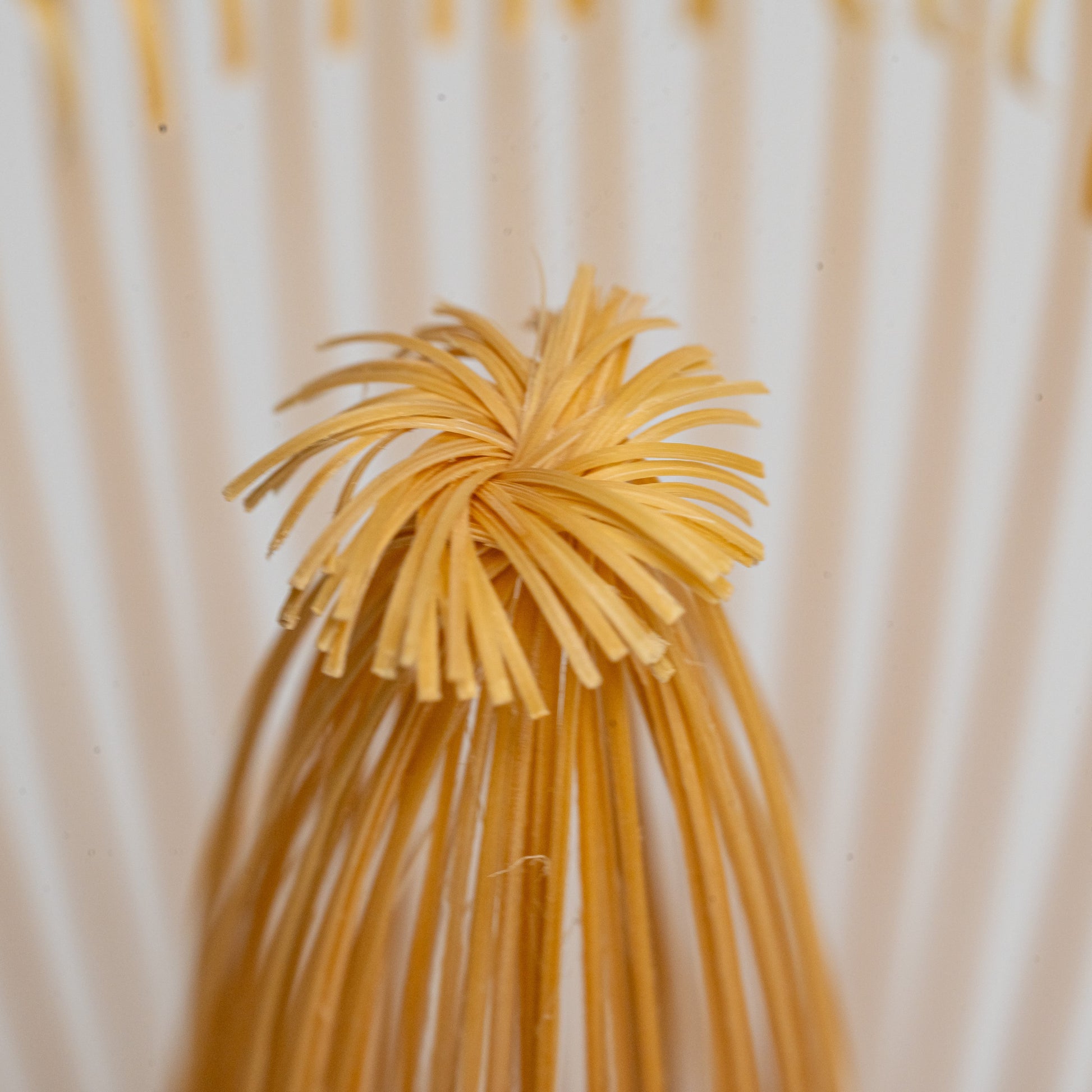 A close up of a white bamboo Takayama chasen matcha whisk