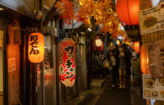 Exploring the Diversity of Japanese Lanterns
