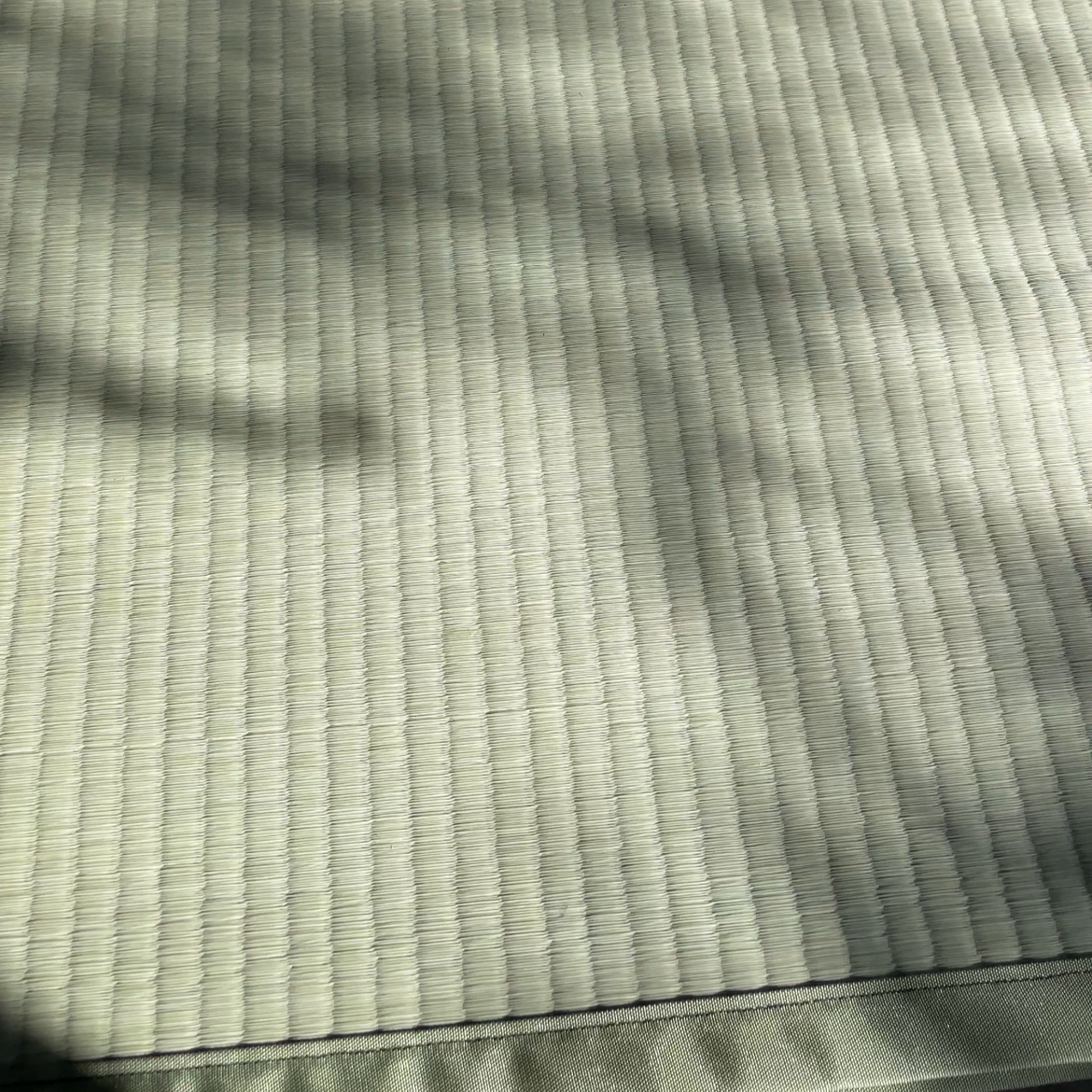 Tatami Igusa Goza Mat - 1 Jo