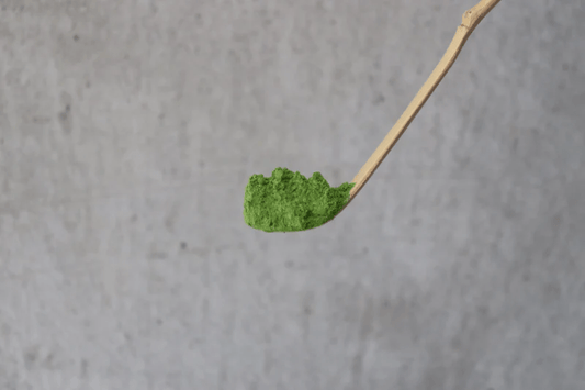 A close up of a white bamboo tea scoop with a scoop of Japanese matcha