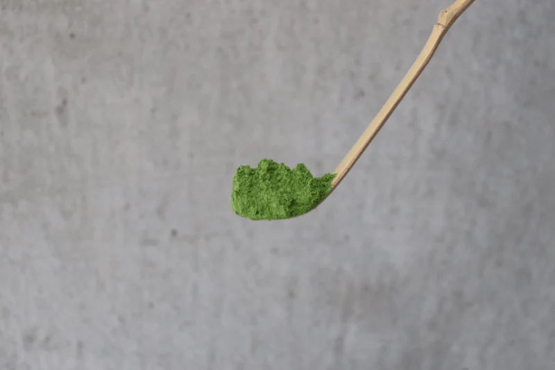 A white bamboo tea scoop with a scoop of Japanese matcha